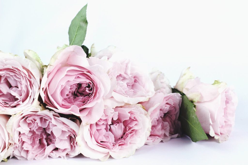 5 Most Romantic Flowers To Give Your Partner